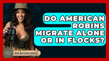 Do American Robins Migrate Alone Or In Flocks? - Bird Watching Diaries