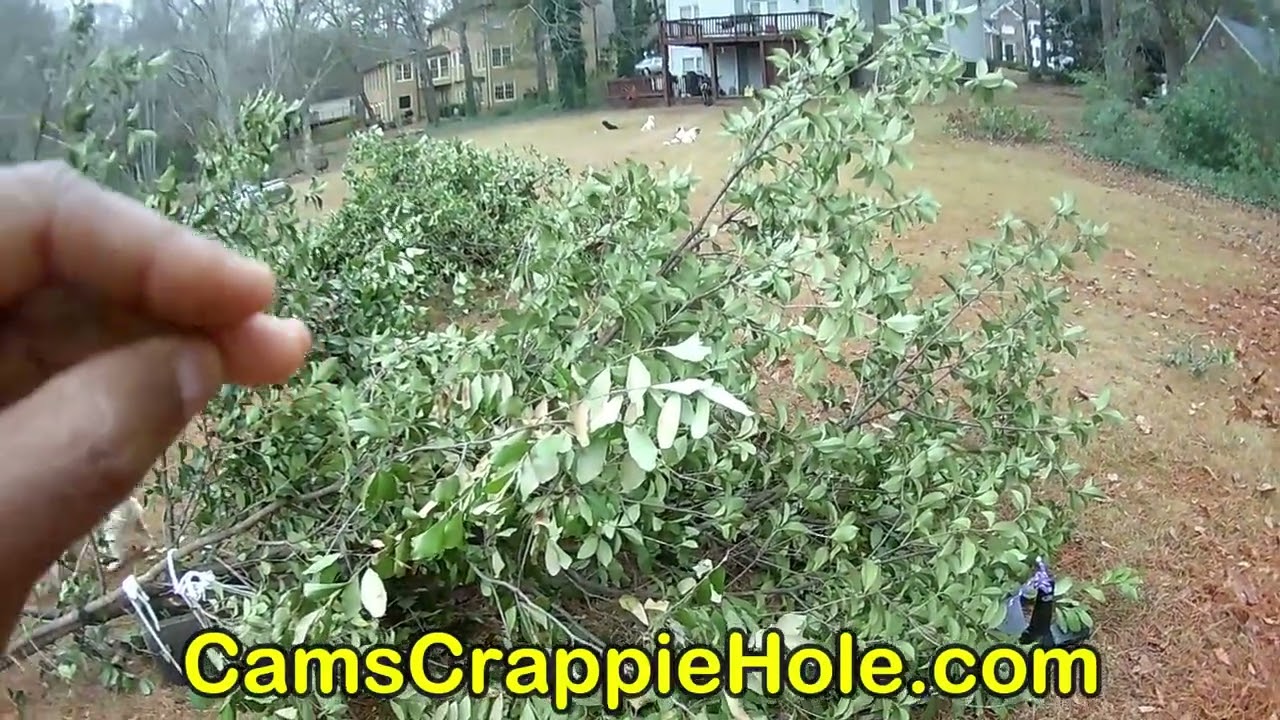 💥💥CAMS CRAPPIE BUILD HABITAT TO KEEP YOUR CRAPPIE IN THE STRIKE ZONE ALL YEAR youtube💥💥