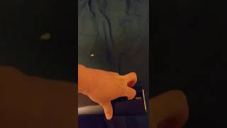 Fingerhut monitor unboxing GOOD or DAMAGED?