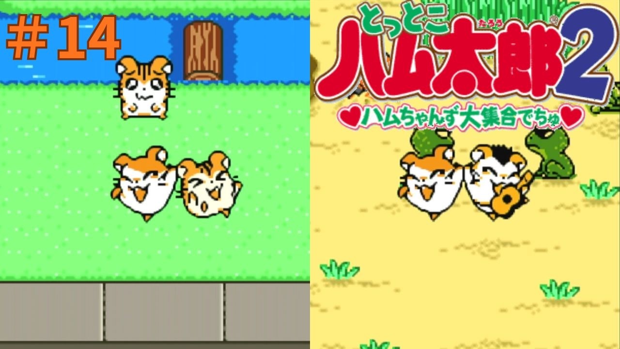 とっとこハム太郎2実況プレイしてみた⭐️#14【てぃきみ】