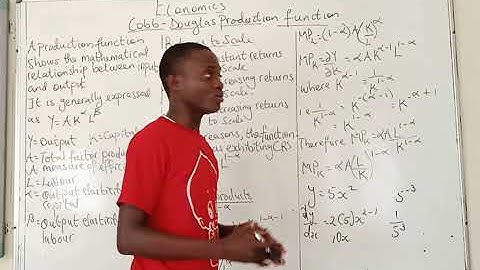 What is Cobb Douglas production function? (Production theory)