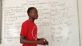 What is Cobb Douglas production function? (Production theory)