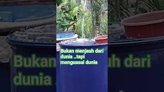 Bukan menjauh dari dunia tapi menguasai dunia #tasauf #ngaji # #katahati #katakatahikmahpendek