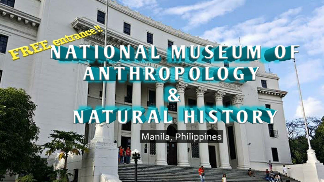 NATIONAL MUSEUM OF FINE ARTS NATURAL HISTORY ANTHROPOLOGY visual data 8