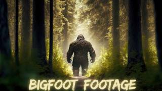 6 Bigfoot Videos That Will Creep You Out