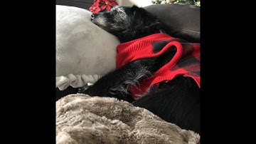 The way of the nether[part 2]