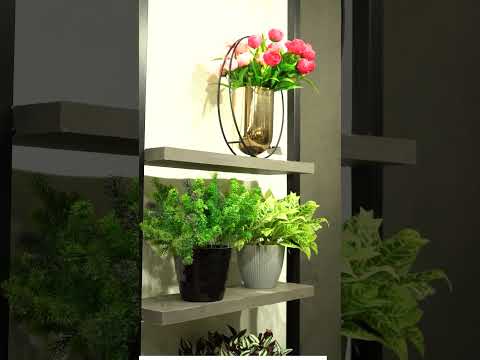 Whole Production — Video 06