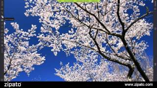 Installing And Configuring Dsmr Electricity Meter Via Zipabox P1 Module