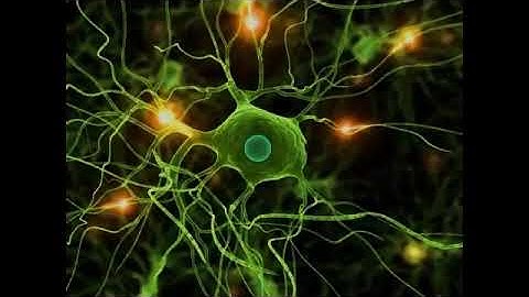 Nhạc Offering - Nhạc Thôi Miên