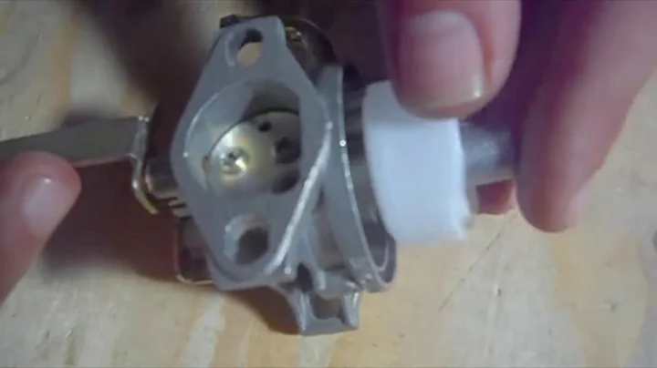 Stop Carb from Leaking & Release Float Needle on a Portable Generator/Small Engine