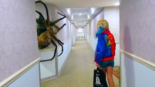 If You’re Scared of Spiders, Don’t Watch This