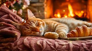 12 Hours of Sleeping Cat Music 🌿 Soft Piano for Cats to Sleep & Relieve Cat Stress Fast 😻 screenshot 4
