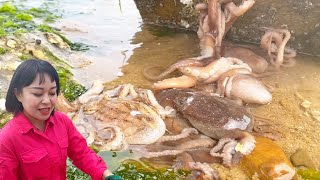 [ENG SUB] Xiao Zhang rushed to the sea. The stone was full of octopus and many sea cucumbers were f