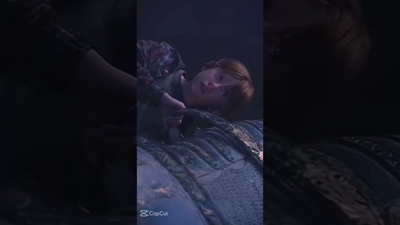 Harry Potter edit 🤎💛💙💚 