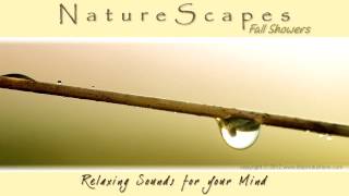 🎧 RELAXING RAIN SHOWER SOUNDS for Sleep, Meditation, White Noise &amp; Tinnitus... Nature Sounds