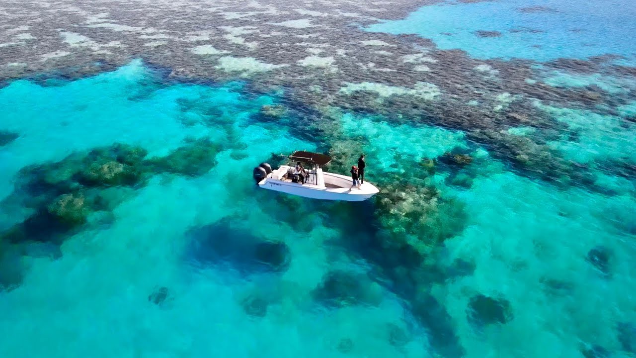 Fishing Paradise Reef