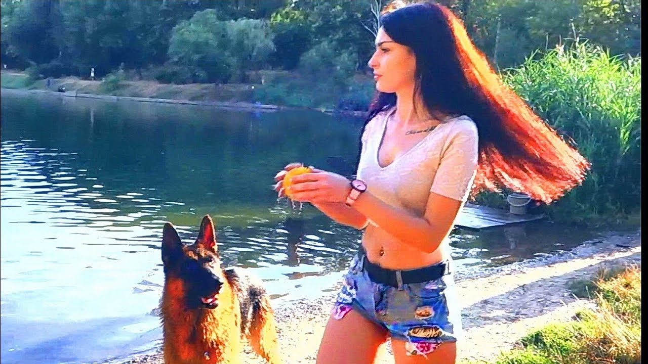 Любимчик Райд. Favorite Ryde. Немецкая овчарка. German Shepherd.