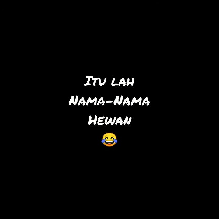 Story' wa 30 detik(Nama hewan)