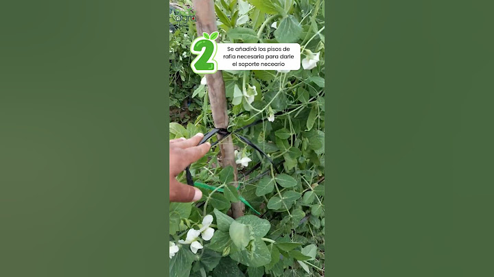 🌱 ¡Potencia tu cosecha con un tutorado!🌱✨