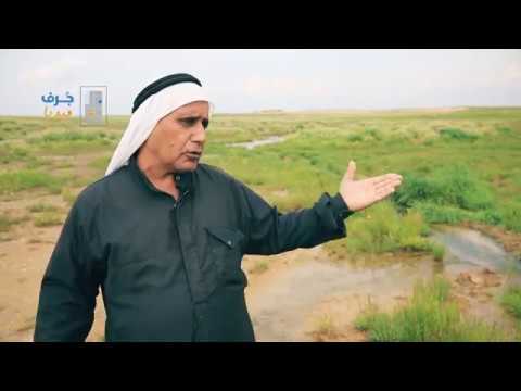 فيديو: هل يوجد مطار في ينابيع جلينوود؟