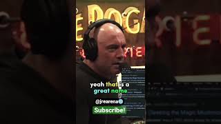 Joe Rogan enamored with Oaxaca #shorts #joerogan