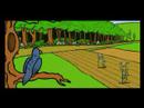 My first Flash animation