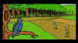 Celebrity My first Flash animation Net Worth