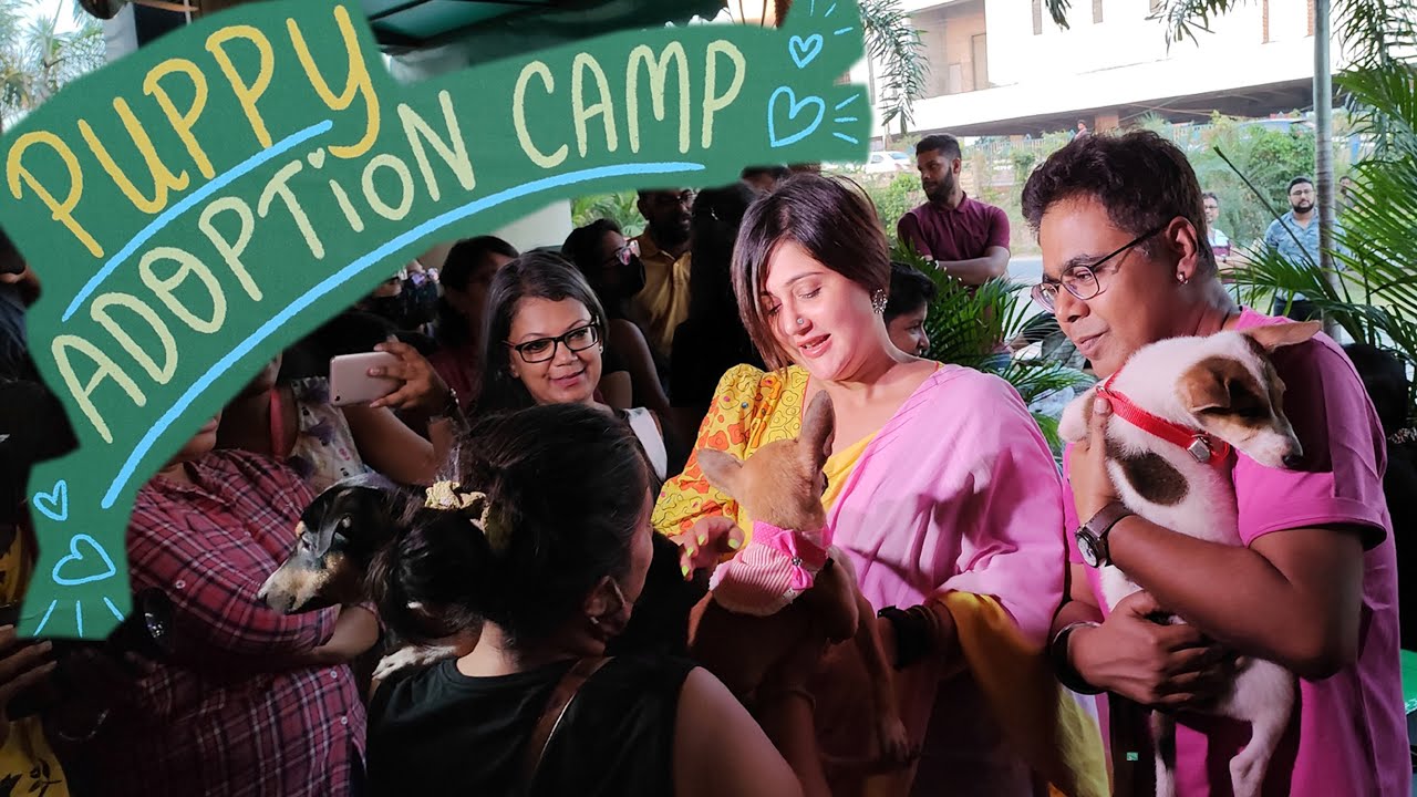 Puppy Adoption in Kolkata, Free dog adoption in Kolkata, Mir, Swastika