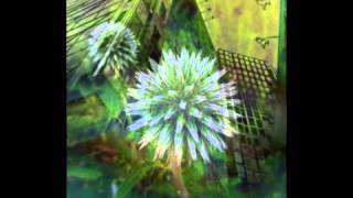 20130911 the cinematic orchestra to build a home mb