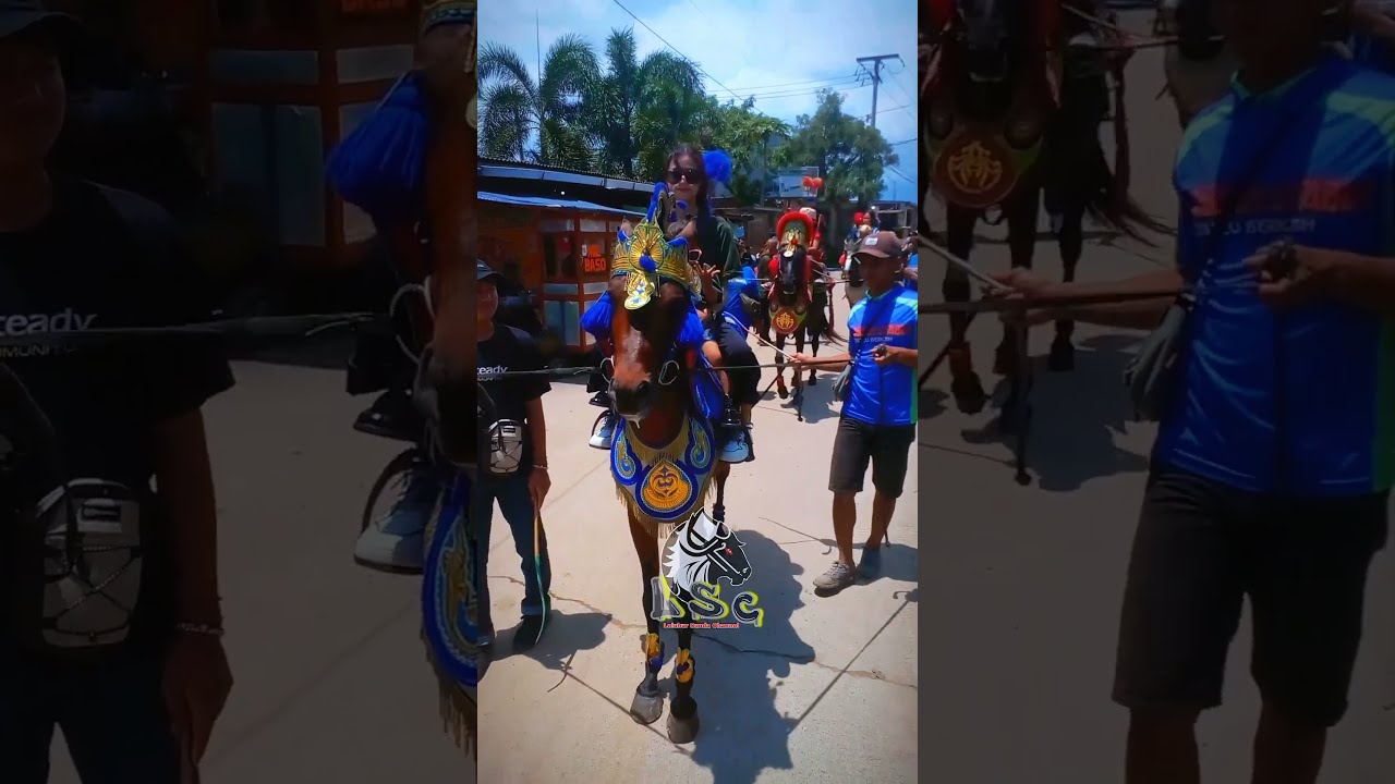 Ade manis manja #kudarenggonghits #shortvideo #short