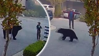 The 7-year old child encountered a massive black bear