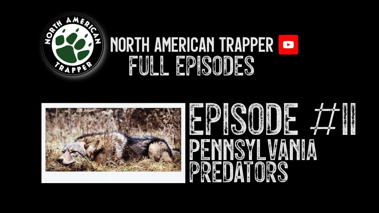 2020 Episode 11 Pennsylvania Predators YouTube