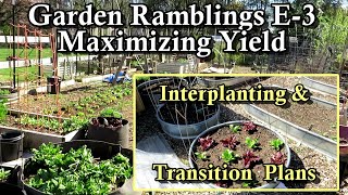 Interplanting, Cool & Warm Crop Transitions, Maximize Space: Garden Ramblings Tips & Tour E-3 4/9/23