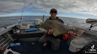 Baldchin Geographe Bay
