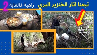 كلب #السانت_برنارد الدبابة ومغامرات #ماوكلي في الغابة 🦍🦧