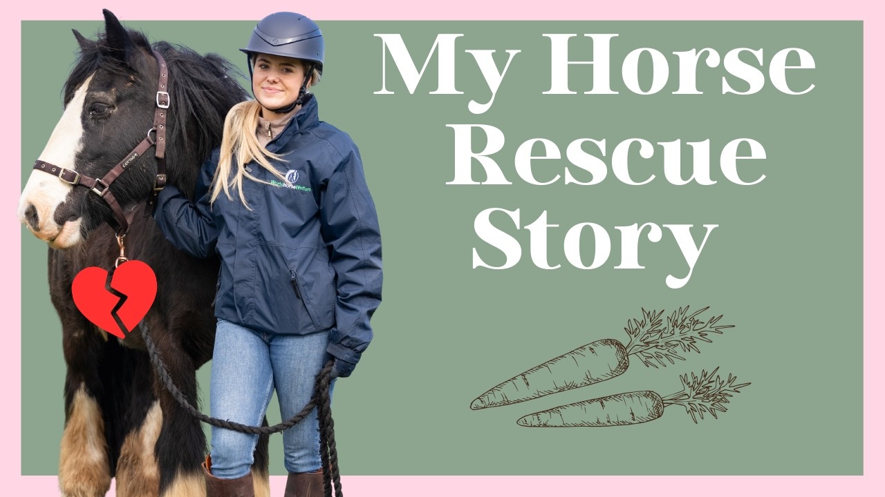 My Horse Rescue Story - YouTube