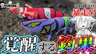[Eging] The "Eva Q" squid jig that awakens your fishing results