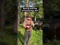 Back Up and Push #bluegrass #mandolin #oldtime #fiddletune