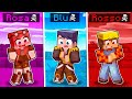 GIOCO LA MODALITÀ DEI COLORI DI MINECRAFT!
