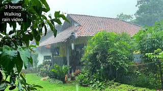 ฝนตกหนักในหมู่บ้านอินโดนีเซียที่สวยงาม||เดินตากฝน||สำหรับการนอนไม่หลับ