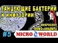 Танцующие бактерии и инфузории под микроскопом "АНАЛИТ" MICRO WORLD #5