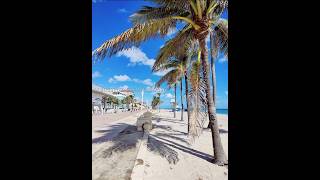 326 Harrison St 106A | Hollywood Real Estate