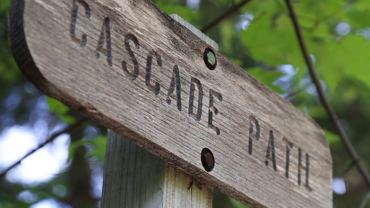 mountain bike events 2020