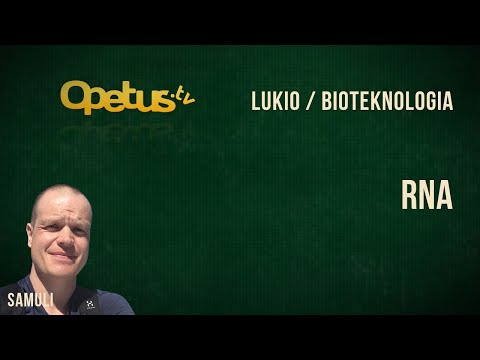 Video: Mikä on RNA:n molekyyli?