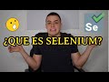 ¿Qué es Selenium? | Automatización de pruebas
