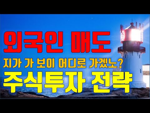 특강 외국인 <strong>주식매도</strong>, 지가 가 보이 어디로 가겠노, 주식시장 수급분석