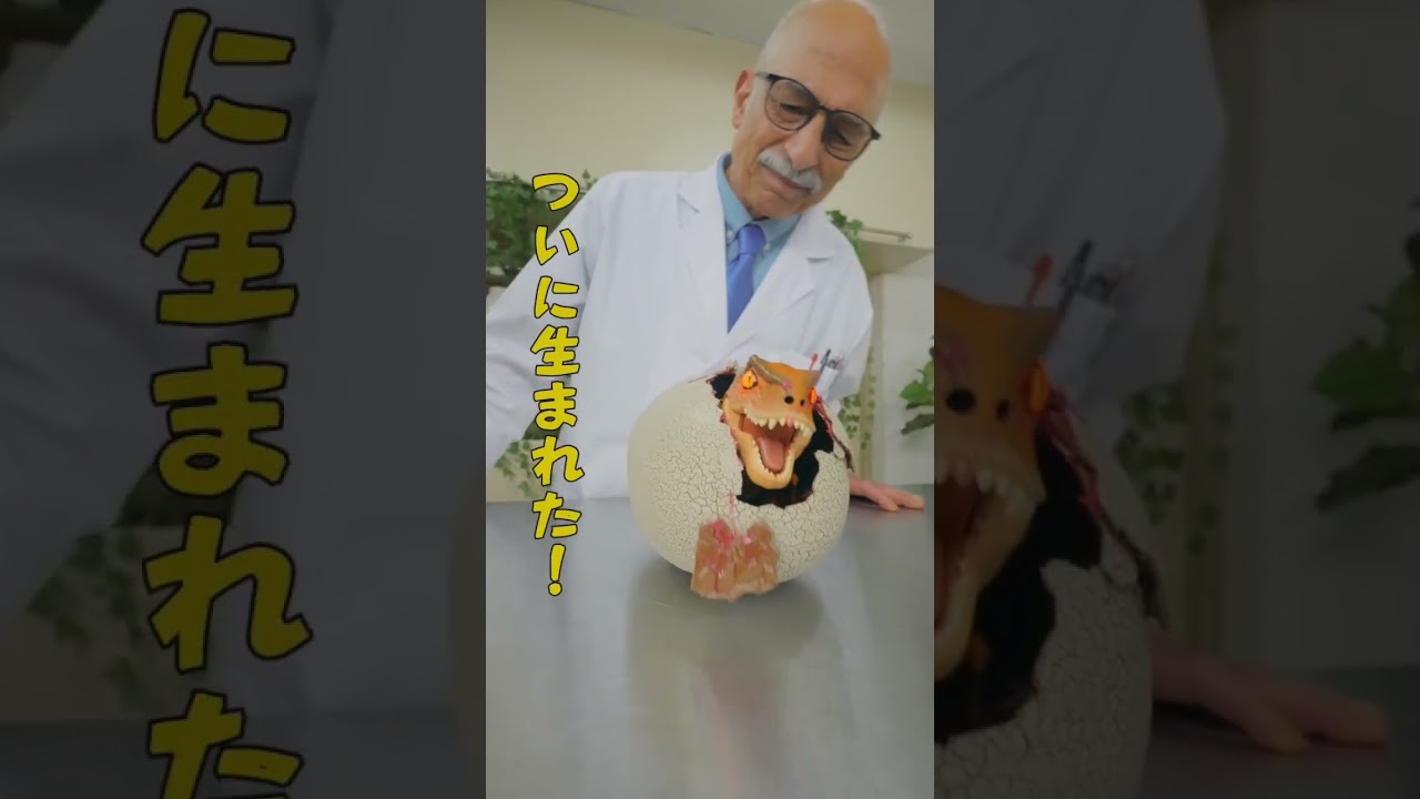 Hatchimals: Jurassic World T-Rex Egg] A dinosaur egg in modern