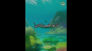 هُوَ ٱلْحَىُّ لَآ إِلَـٰهَ إِلَّا هُوَ // الشيخ رزكار محمد الكردي - آيات من كتاب الله