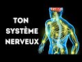 Un Voyage À Travers Ton Système Nerveux