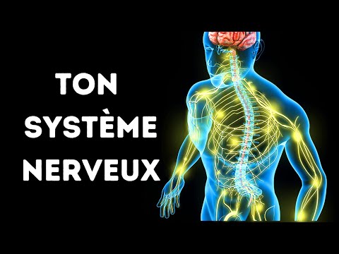 Vidéo: Pourquoi la neurophysiologie est-elle importante ?